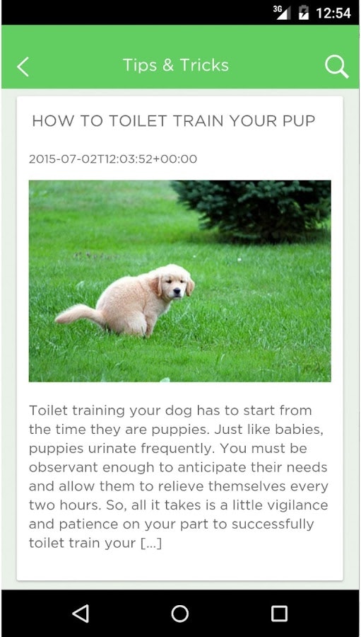 TailsLife gallery image