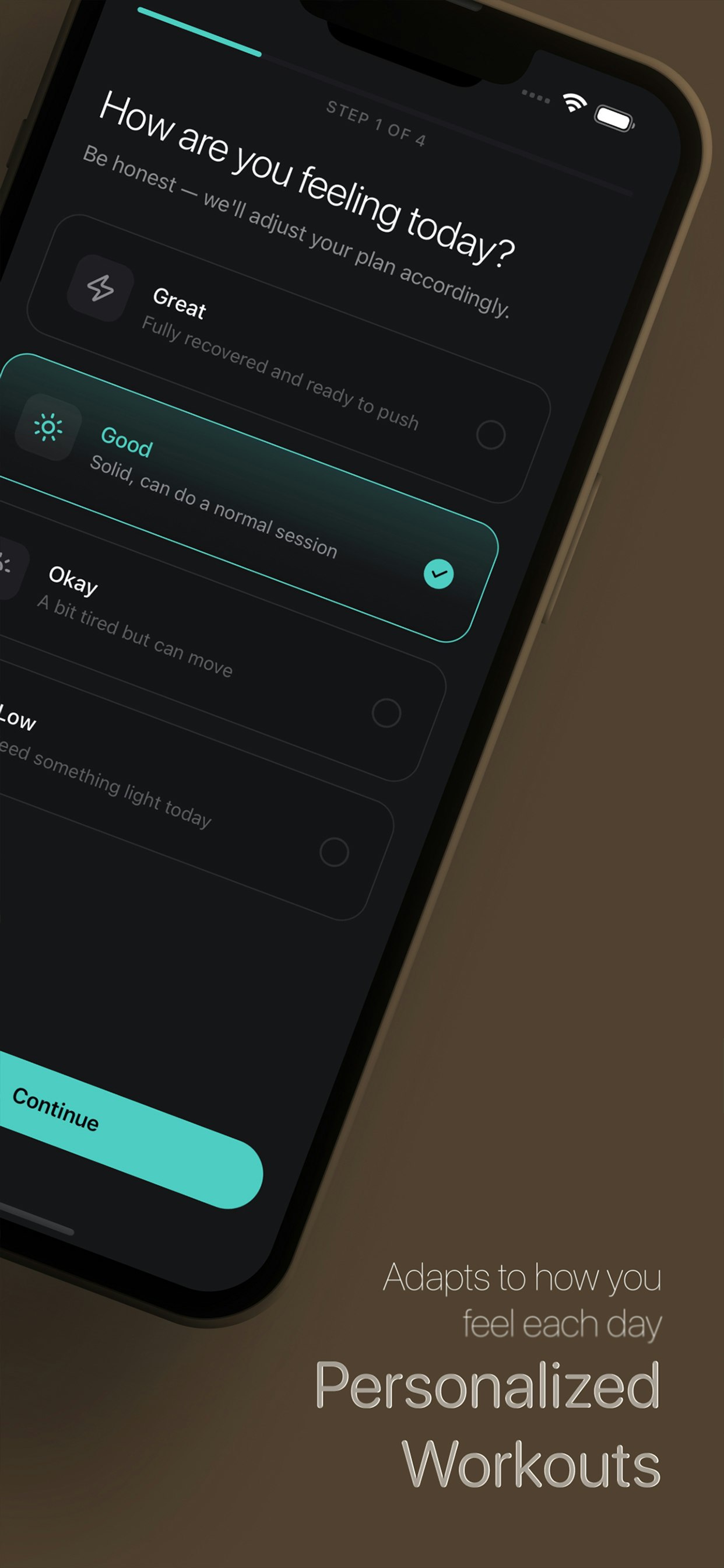 FitStreak gallery image