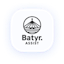 Batyr.assist