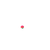Pomo Timer