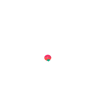 Pomo Timer Image