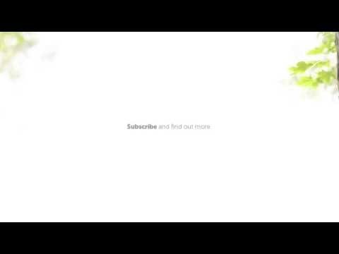 Xerry LU gallery image