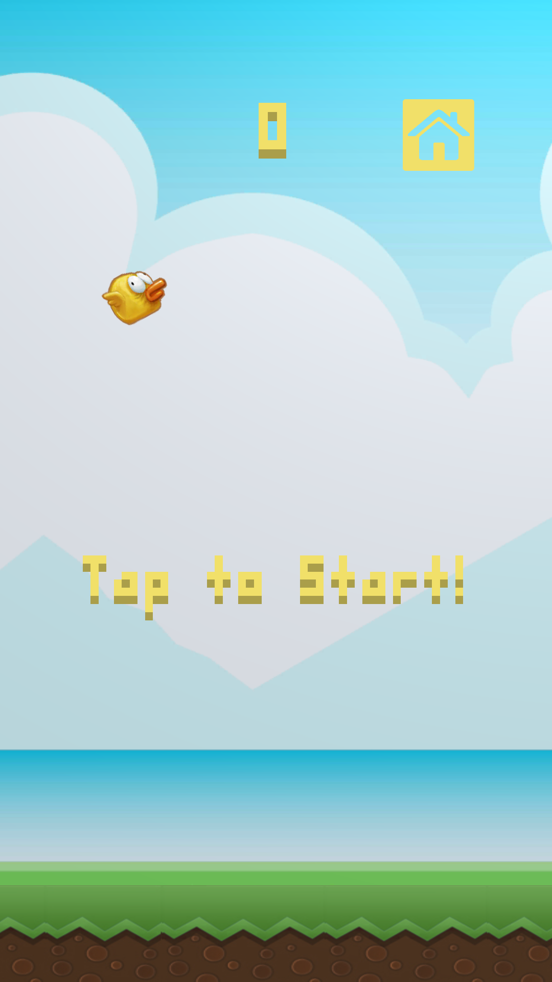 Disco Bird gallery image