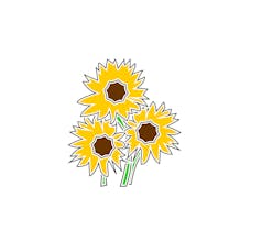 Nuvelio Naturals gallery image