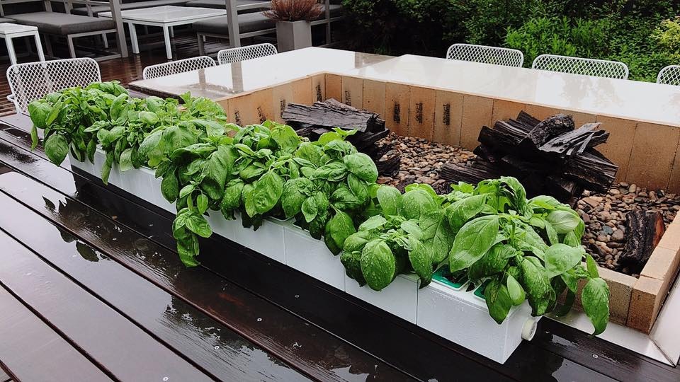 PLANTY SQUARE gallery image