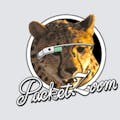 PacketZoom