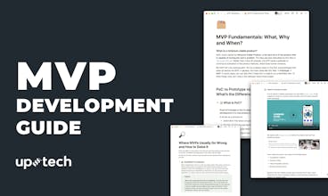 MVP Development Guide & Checklist gallery image