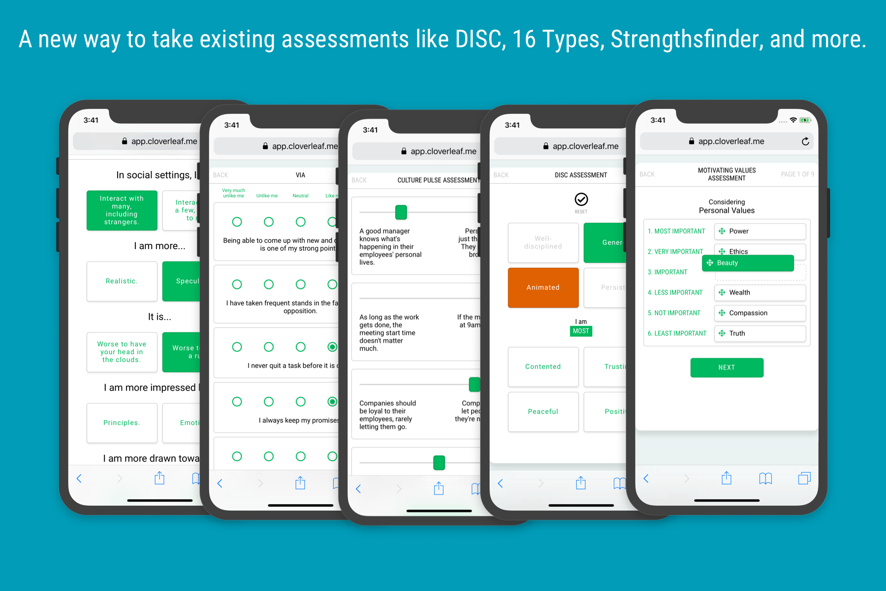 Cloverleaf gallery image