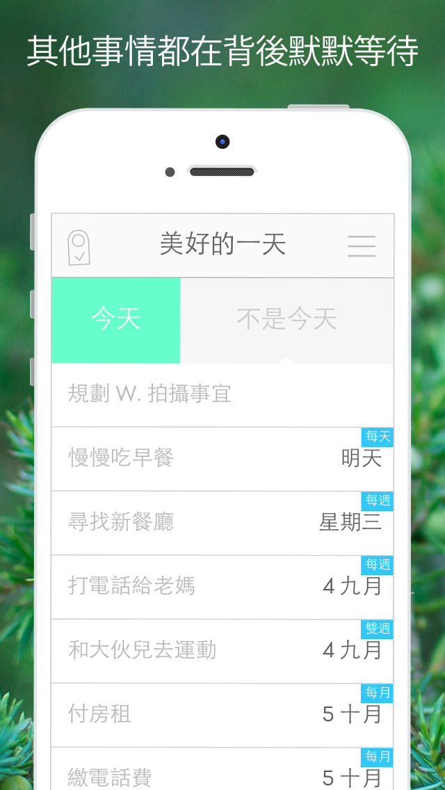 daily 2 gallery image