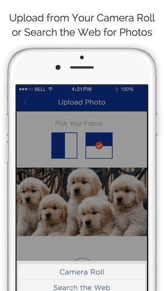 ThisWon Beta gallery image