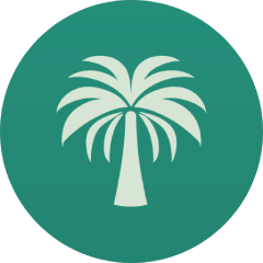 Palmier: Plan your trip. Effortlessly - Product Hunt launch logo and brand identity