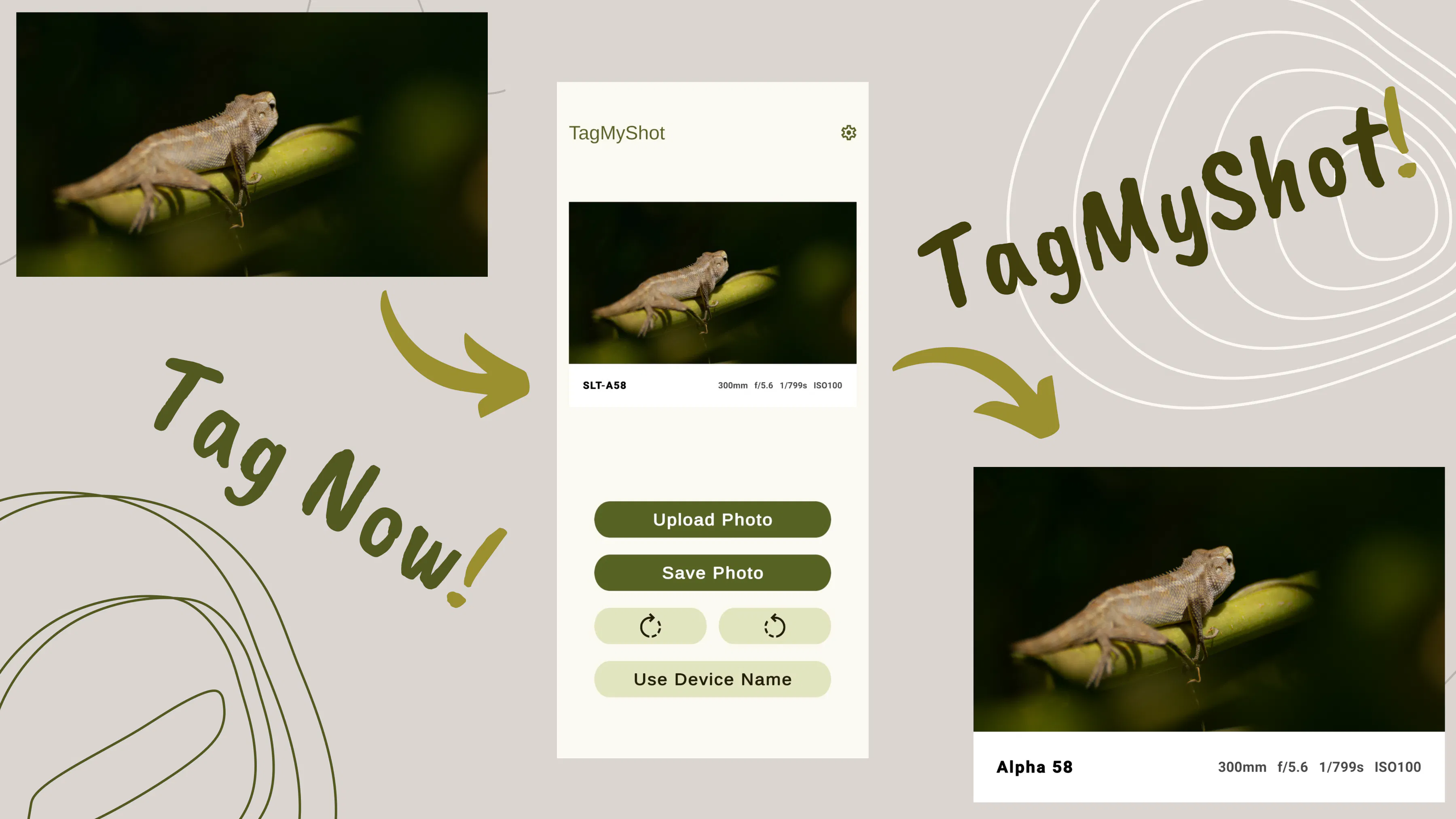 TagMyShot gallery image