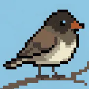 Junco logo