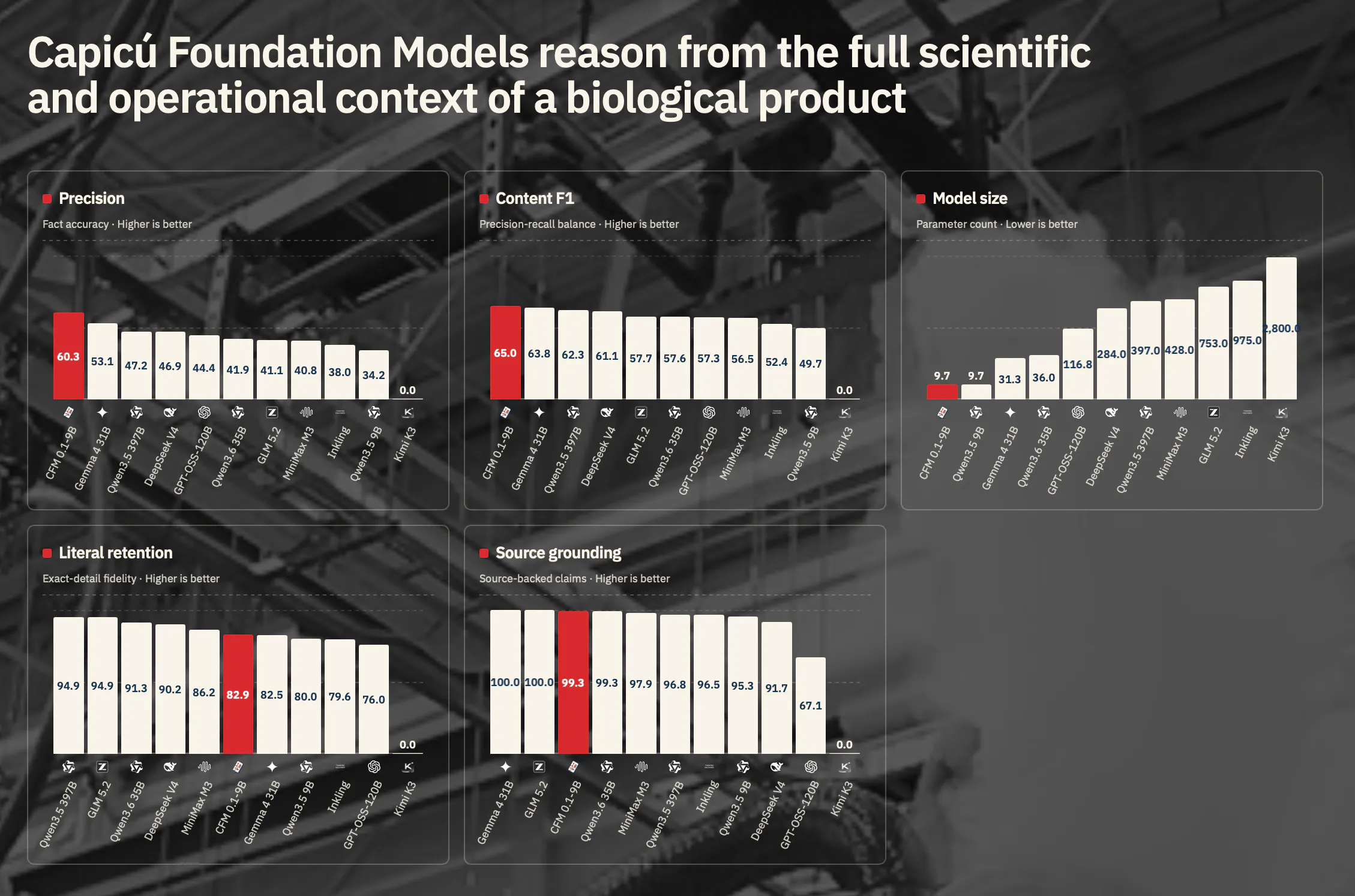 Capicú Foundation Model gallery image
