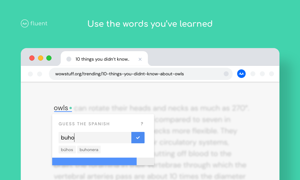 Fluent 1.0 Gallery Image 3