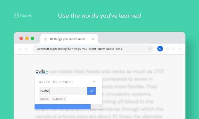 Fluent 1.0 Gallery Image 3