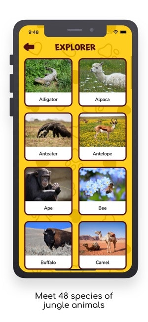 Bingoo Jungle Sounds gallery image