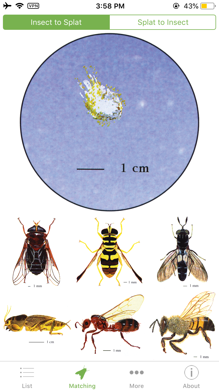 That Gunk On Your Car gallery image