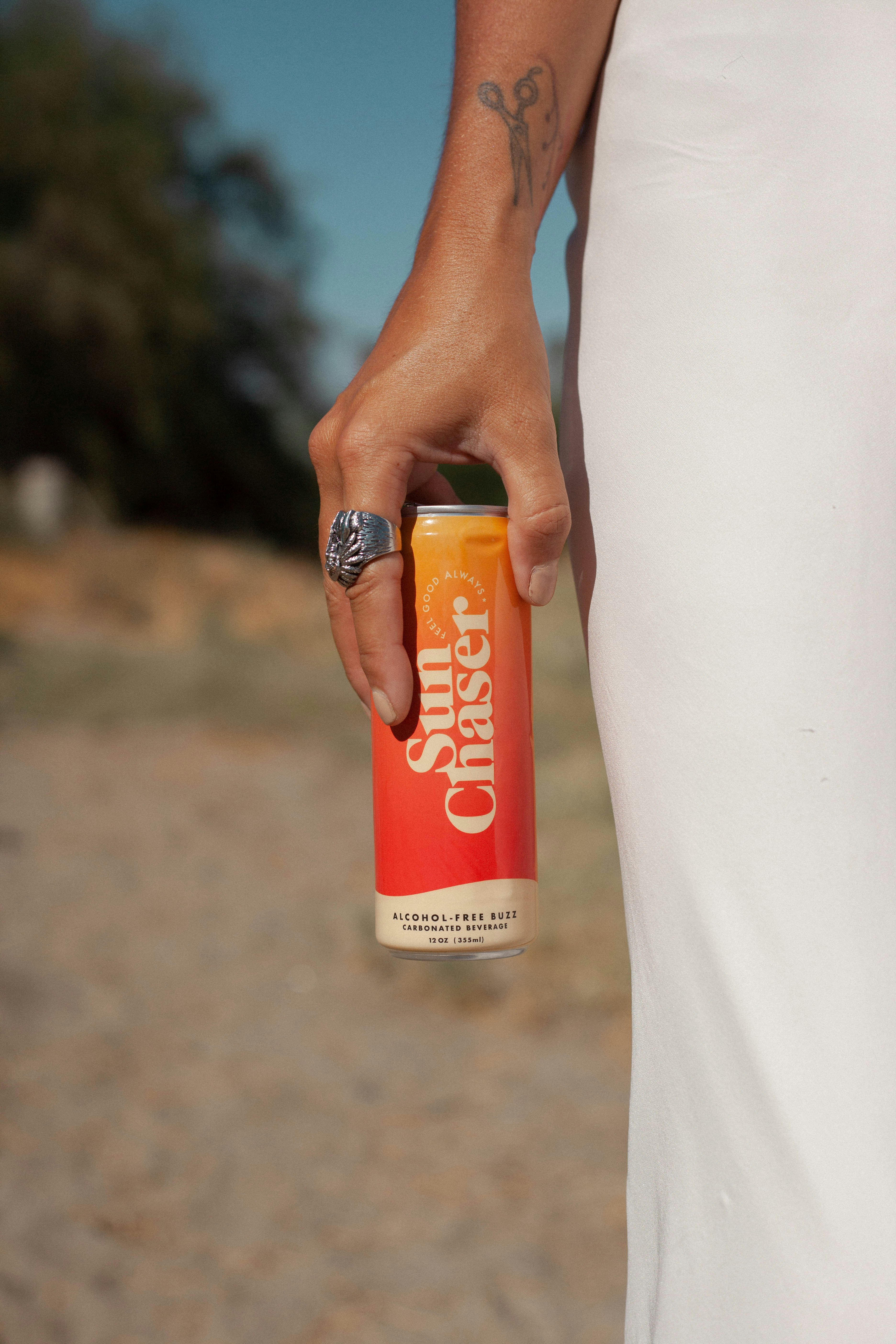 Sun Chaser gallery image