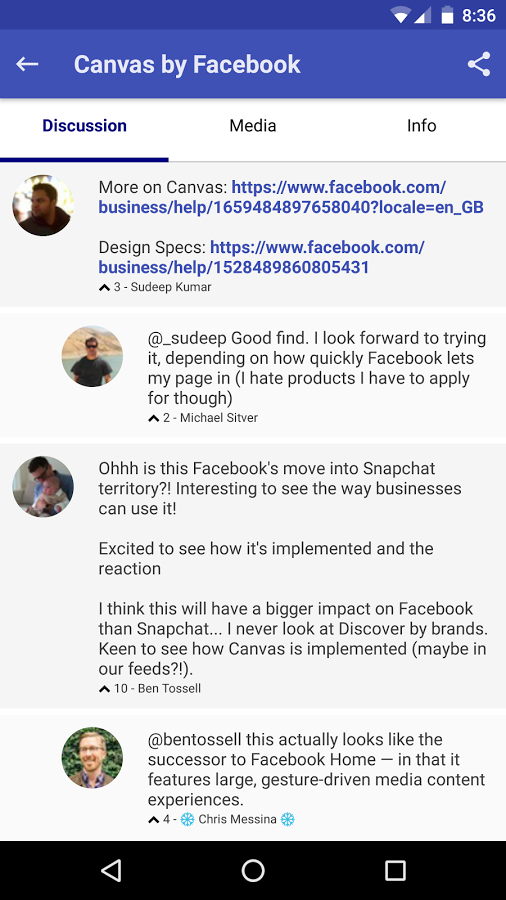 Feline gallery image