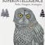 Superintelligence: Paths, Dangers, Strategies