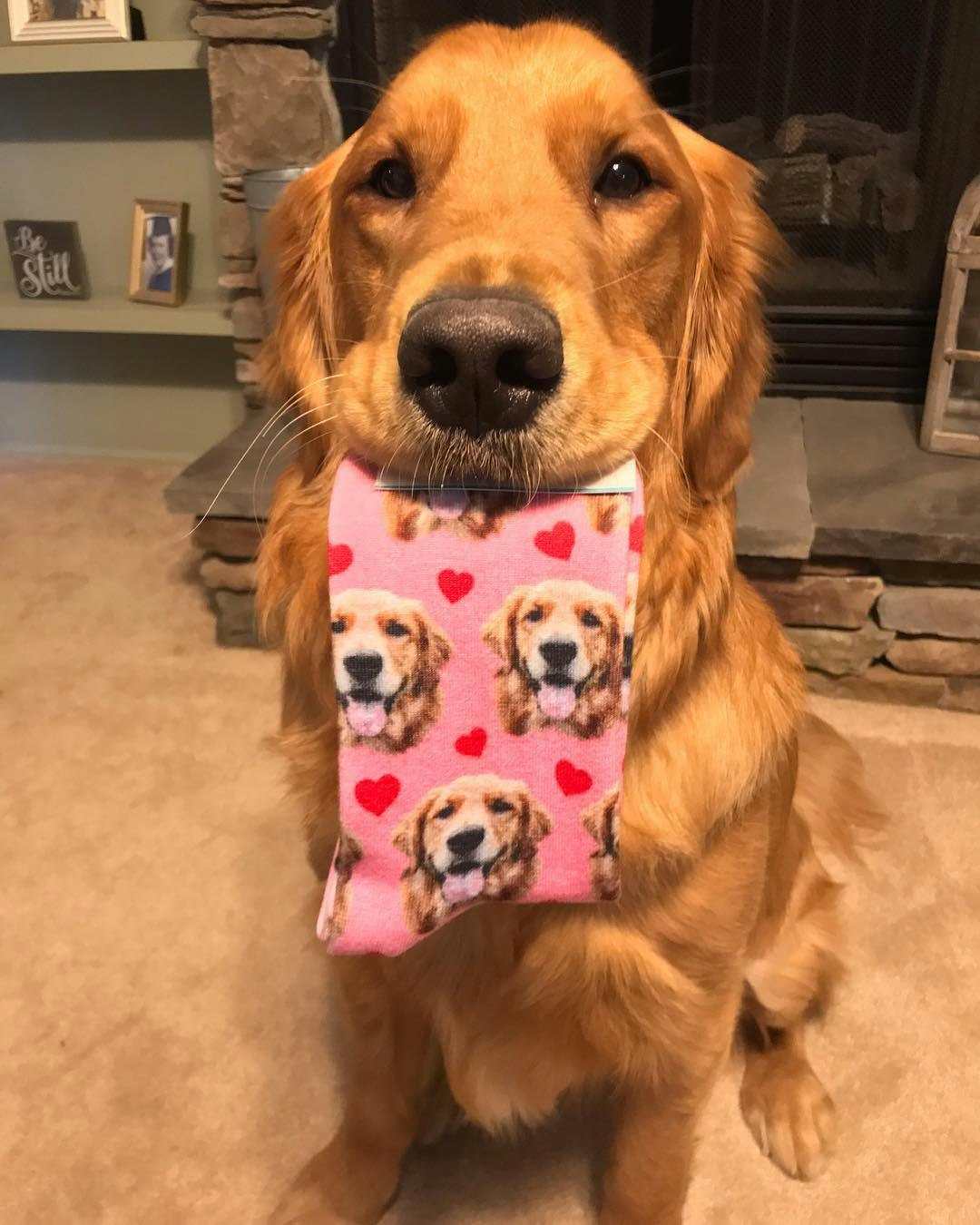 Custom Face Socks - Pup Socks