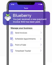 Blueberry POS gallery image