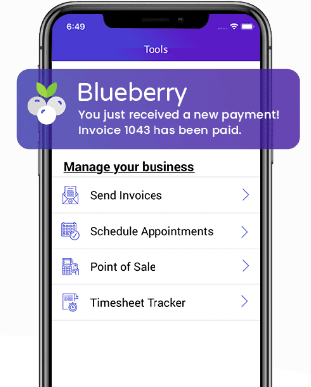 Blueberry POS - Screenshot 2 showing product features and functionality