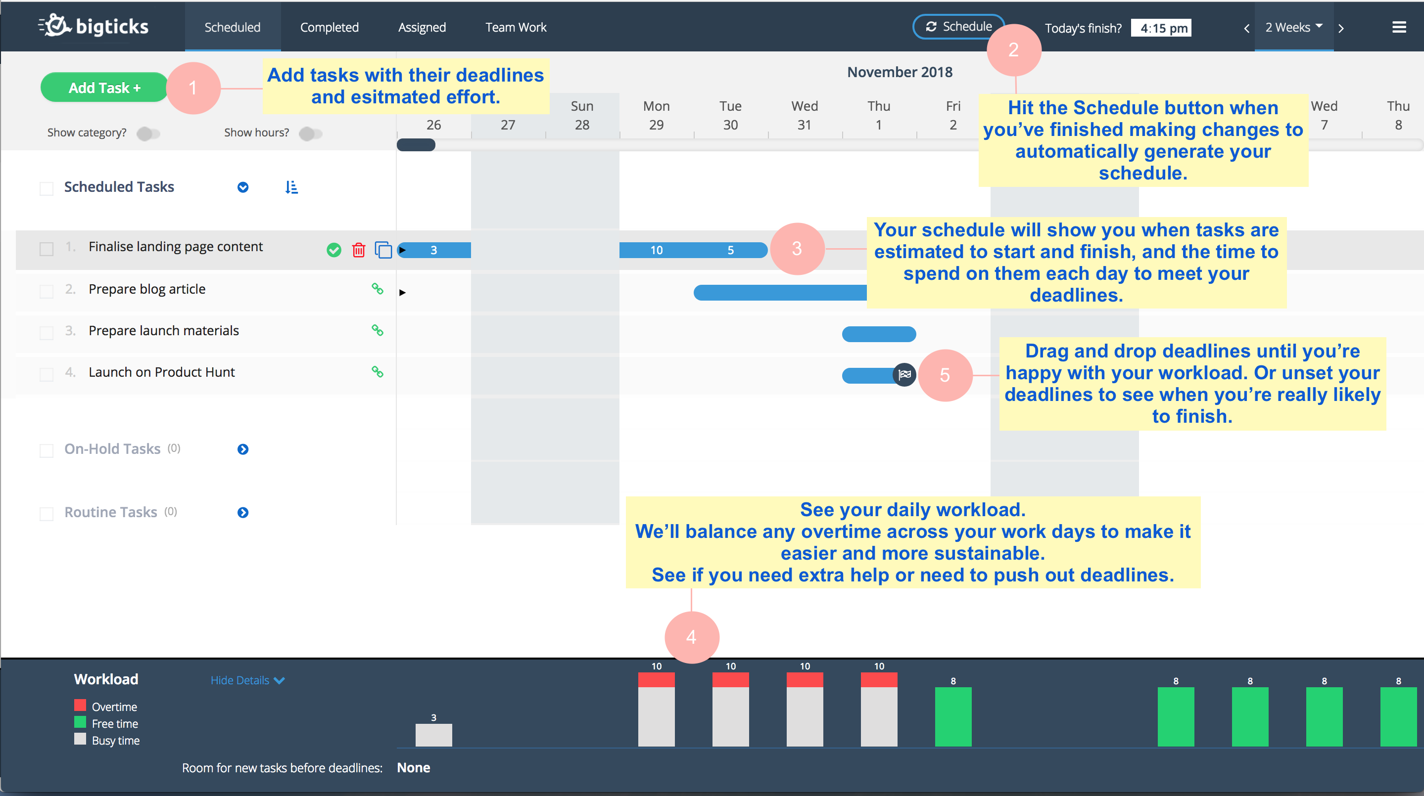 Bigticks gallery image