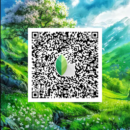Snapseed Qr codes gallery image