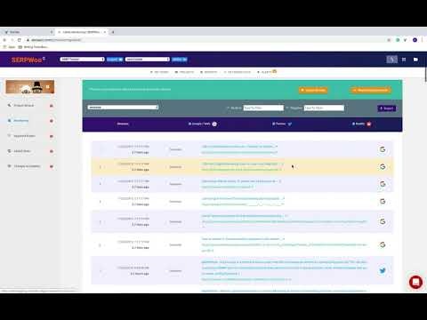 Brand Monitoring From SERPWoo gallery image