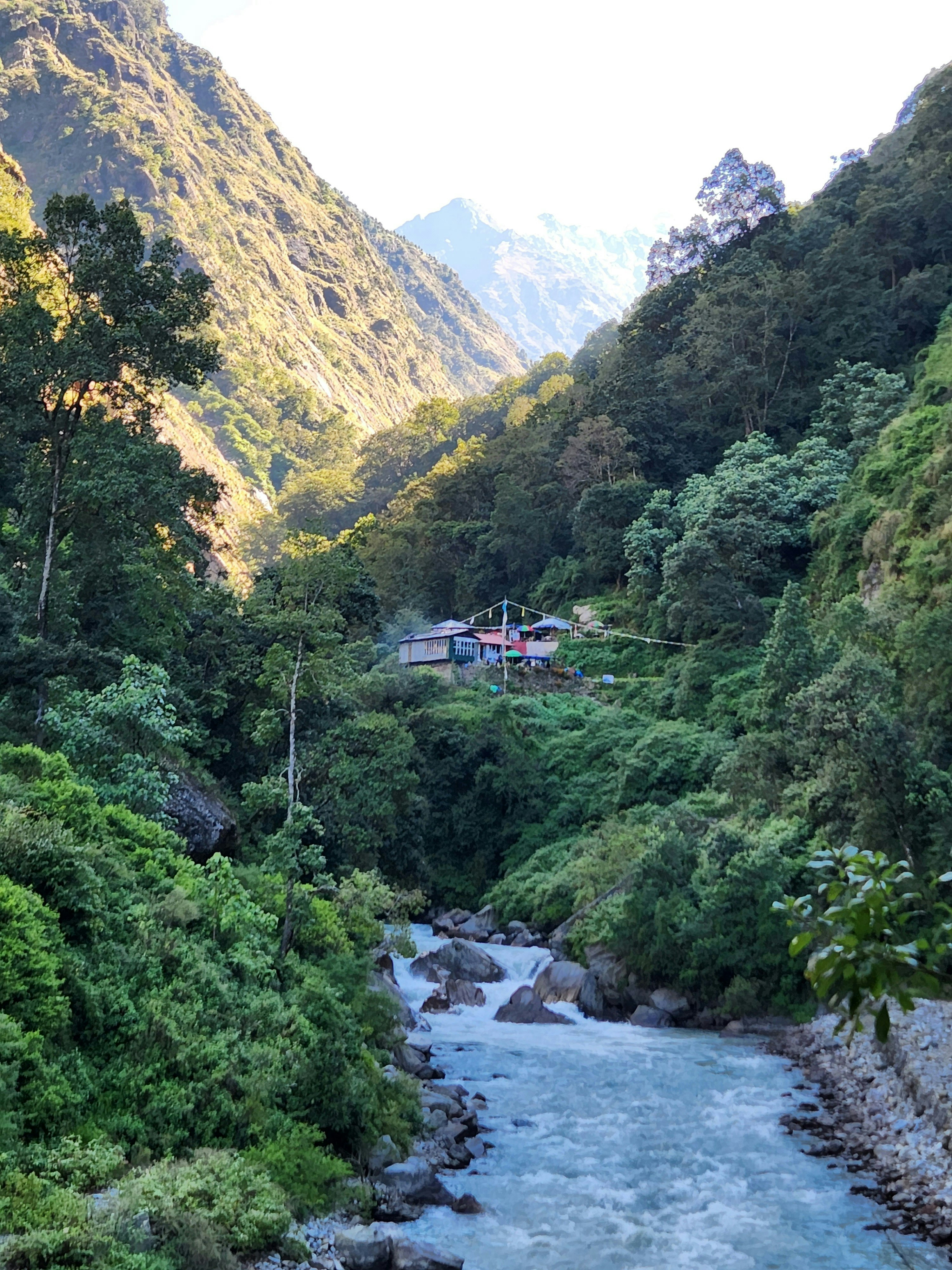 Langtang Valley Trek, 09 Days  gallery image