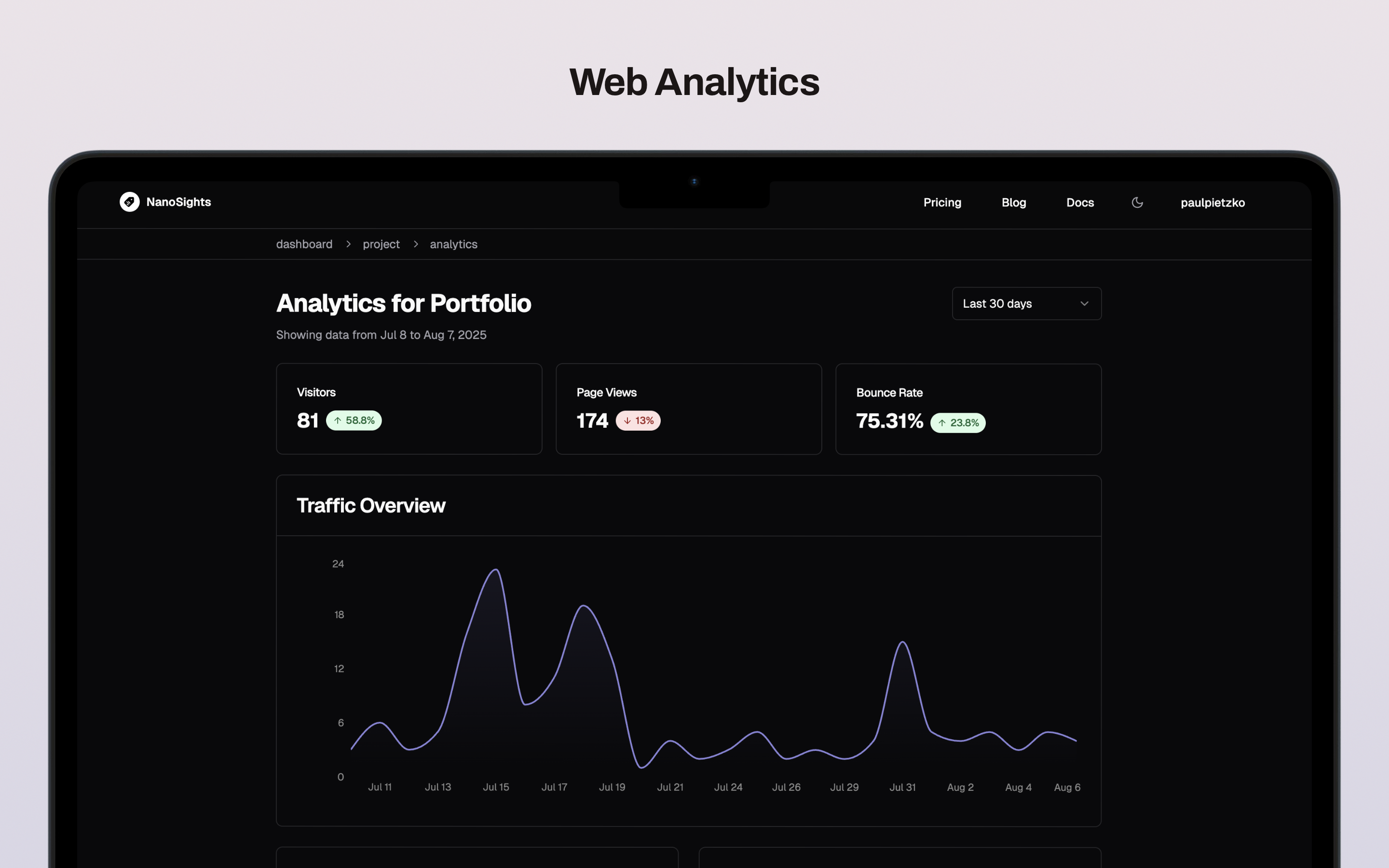 Nanosights - Empotrar.Analizar.Tener éxito media 3