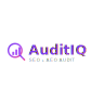 AuditIQ