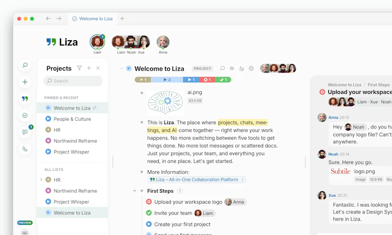 Liza screenshot 2