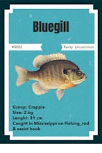 NFTs fishing - catch your rare NFT fish! gallery image