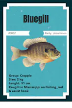 NFTs fishing - catch your rare NFT fish! gallery image