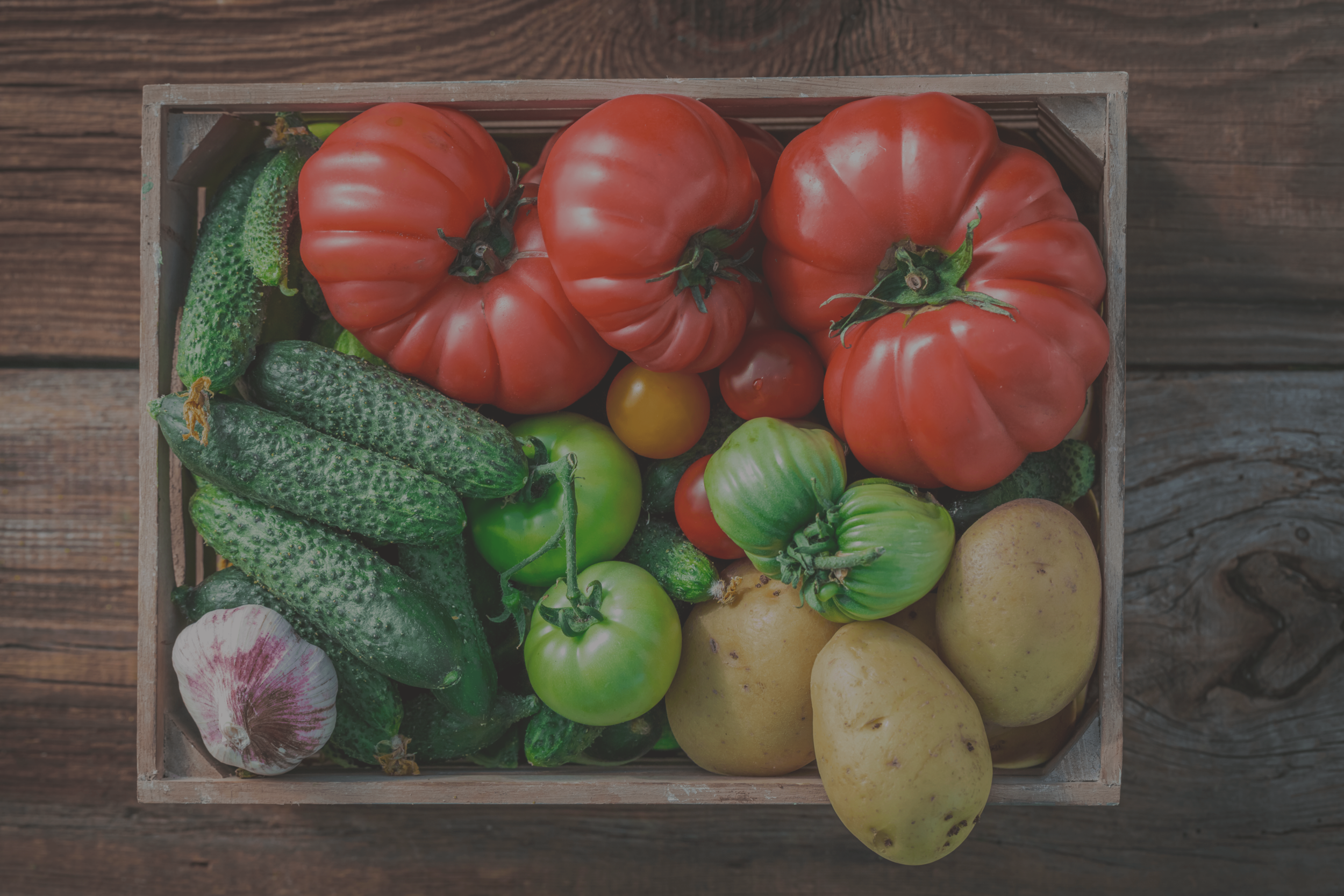 Hungry Harvest gallery image