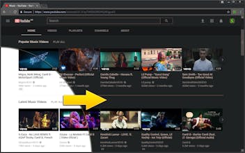 Midnight Lizard gallery image