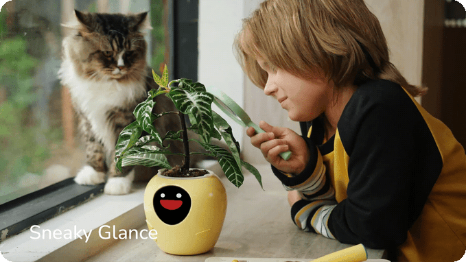 Mídia 6 de Plant Bot - Permite que suas plantas falem com você