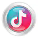 TikTok Video Downloader No Watermark