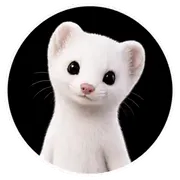 Vetta 