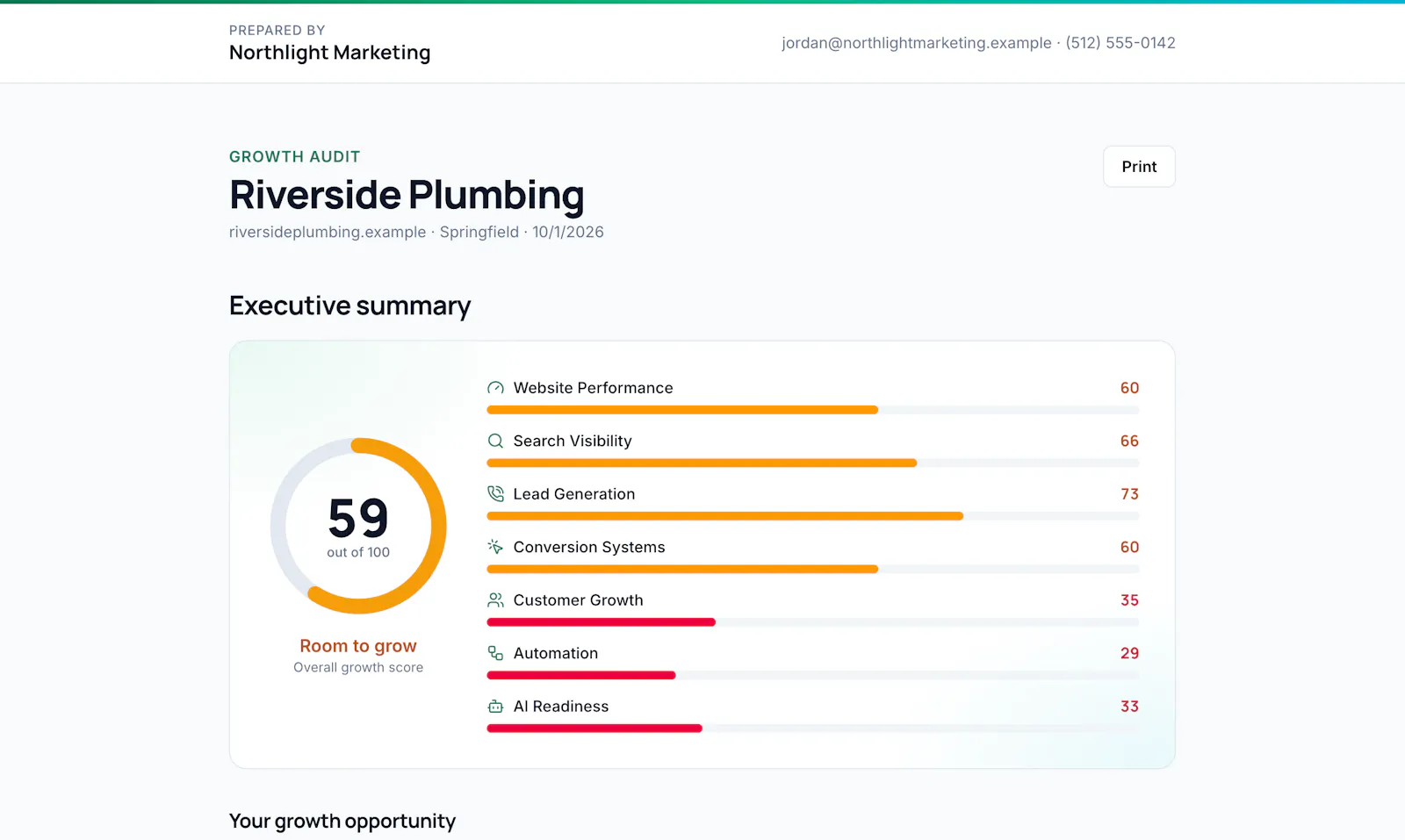 LocalBusinessAudit screenshot 8