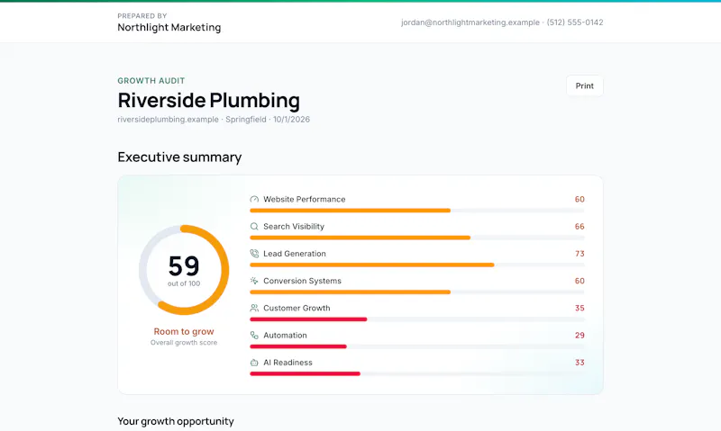LocalBusinessAudit screenshot 8
