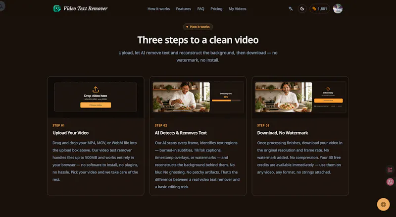 Video Text Remover screenshot 3