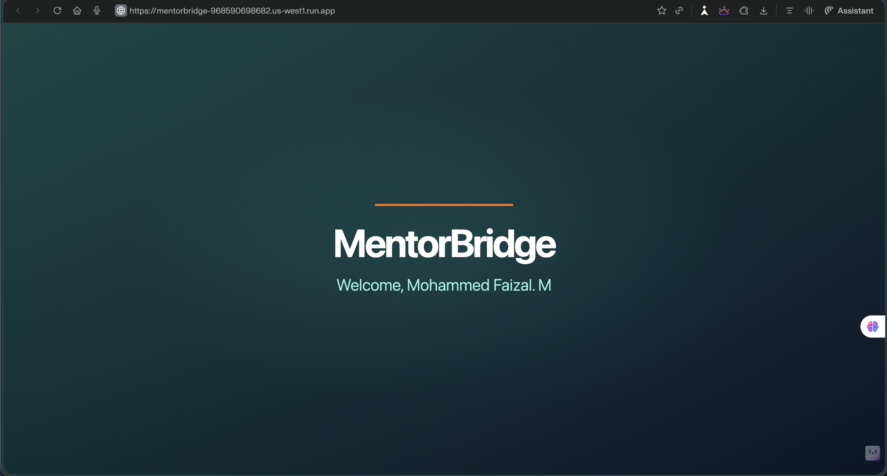 MentorBridge gallery image