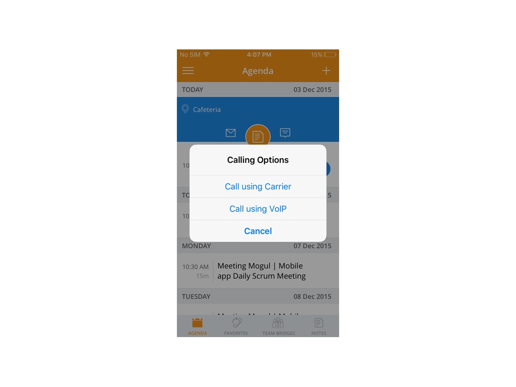 MeetingMogul gallery image