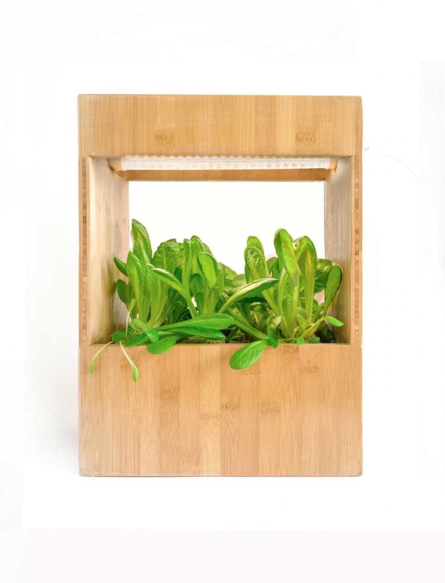 GÜD Plant Box