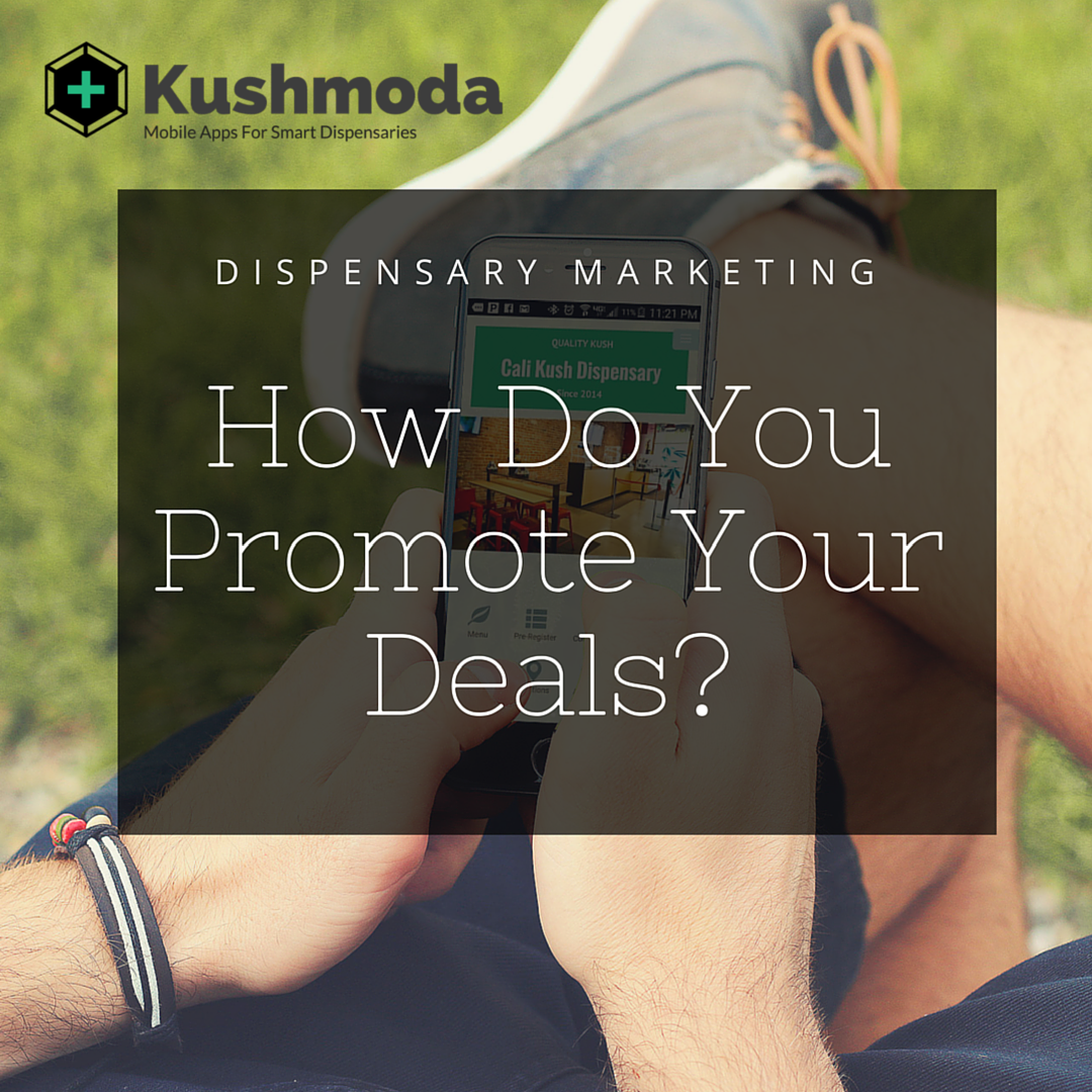 Kushmoda gallery image