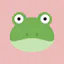 rainfrog